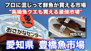 【豊橋魚市場 プロに混じって鮮魚が買える市場 高級魚クエも買える最強市場】あばお 海鮮ちゃんねる 131 20131103 [upl. by Oijile]