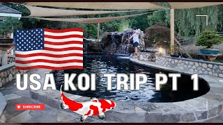 USA Koi trip part 1 pond visit and moving koi to koifest koi fish [upl. by Powers]