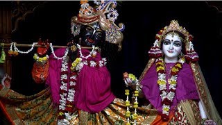 Mangal Arati Darshan by HH Bhaki Charu Swami March 2 2019 [upl. by Herv]