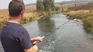 Suikerbosriver fishing Suikerbos visvang [upl. by Emaj]