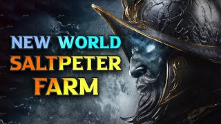 BEST New World Saltpeter Farm 2024  New World Aeternam [upl. by Ecnerrot]