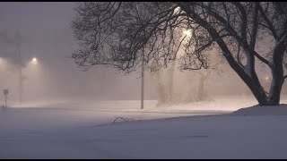 Soft Wind Blowing On A Cold Snowy Night  White Noise Wind [upl. by Eisinger171]