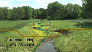 River Geomorphology 48  Remeandering of a small channelized stream [upl. by Yffub]