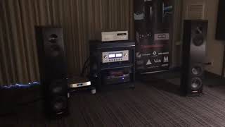 Magico A3’s with Luxman 509x and D08u at Florida Audio Expo 2019 [upl. by Yvan]