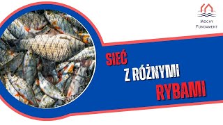 8 Przypowieść o sieci i rybach [upl. by Mitchell]