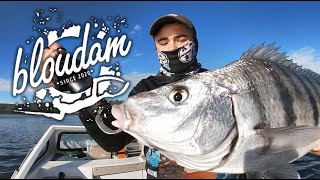 BEST BAIT FOR WHITE STEENBRAS  FISHING PART 2 [upl. by Idoux]