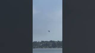 Seafair 2024 music aviation fighterjet [upl. by Salsbury]