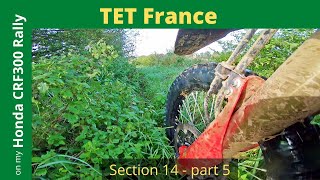 TET France Section 14 Part 5 [upl. by Novahc]