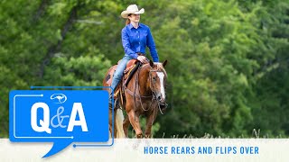 Horse Rears and Flips Over  QampA With Clinton Anderson [upl. by Mharg]