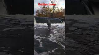 Bobber down fishing folonews troutfishing bigsalmon [upl. by Chace]