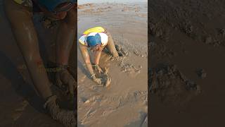 Biggest Mud Crab Catching shorts viralvideo shortsvideo भालावर भेटला मोठा चिंबोरा  chimbora [upl. by Ardnaek]