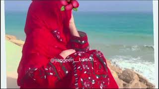 Tara Zaliman  New Balochi song 2024 Bakhtyair Najeeb Official [upl. by Kirtley476]