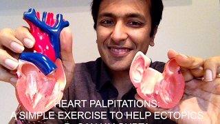 Heart Palpitations A simple exercise to help ectopic heart beats [upl. by Skricki]