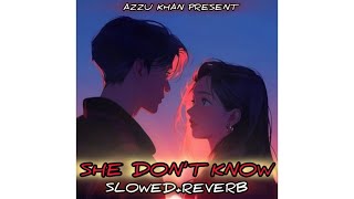 SHE DON’T KNOW  slowedReverb Azzu Khan X Alon  New 2024 Punjabi lofi romantic song  love song [upl. by Male]