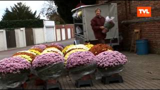 Hasselt Allerheiligen bloemenmarkt [upl. by Grobe726]