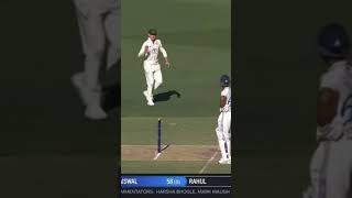 cricket valeron funny valeen trending viralvideo 😂😂😂😂 [upl. by Artemla]