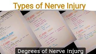 Nerve Injury  Degrees of Nerve Injury  Types of Nerve Injury  Nerve Damage [upl. by Ateuqram]