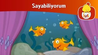 Sayabiliyorum  İki sayı Luli TV [upl. by Ecneps]