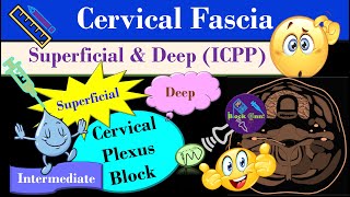 Cervical Fascia  Cervical Plexus Block  Fascia of the neck  Cervical Compartments [upl. by Madelin]