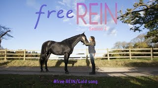 free REINgold song [upl. by Cyrillus]