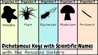 Dichotomous Keys Identification Achievement Unlocked [upl. by Enyalb787]