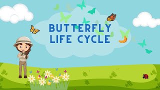 Life cycle of butterfly  From Caterpillar to Butterfly  aumsum kids science education whatif [upl. by Ellehsyt82]