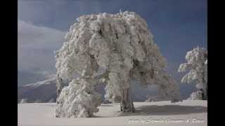 Pollino lultima neve [upl. by Aikel]