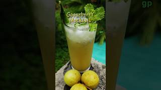 നെല്ലിക്ക മോക്ടെയിൽ  Healthy Refreshing Amla Drink shorts healthydrink amla honey mocktail [upl. by Nonnaer]