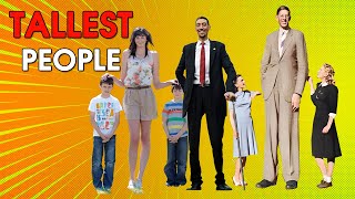 List of tallest people in the world 2023 [upl. by Yerocal]