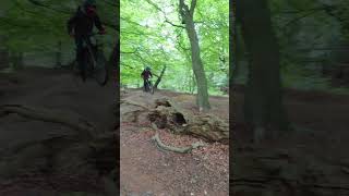 SURRONS VS MTB TRAILS surron ebike jumps [upl. by Lilybelle]