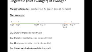 Ongesteld of zwanger [upl. by Airtened645]