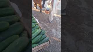 vegetable market sound effects usa uk india [upl. by Odnamla]