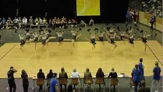 Landesmeisterschaft 2013 im quotCheerdancequot Dance Deluxe BBCM 2013 [upl. by Engis]