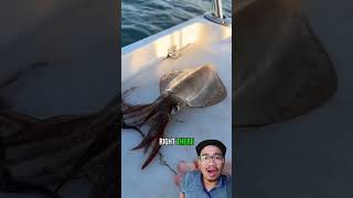 Wow this is how to kill squid very easily and simply many people dont know squidding fishing [upl. by Auqinaj686]