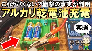 衝撃の事実が判明！アルカリ乾電池の充電実験をご紹介します！ [upl. by Atter786]