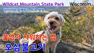 캠핑장에서 물없이 샤워하는 방법 미국단풍 구경 오삼불고기 Wildcat Mountain State Park  Wisconsin 강아지와 함께하는 캠핑 미국캠핑장 [upl. by Jordanson]