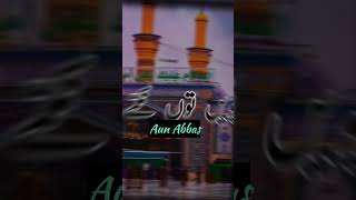 Qawwali Ali dam dam de andar  علی دم دم دے اندر  aunabbas qawwali shots islamic [upl. by Tonie]