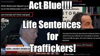 Act Blue Busted Traffickers Life Sentences [upl. by Narret630]