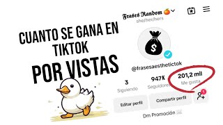 ✨Cuanto Paga TIKTOK por VISTAS 2024 [upl. by Algy]