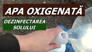 Dezinfectarea solului cu apă oxigenată peroxid de hidrogen [upl. by Daffi]