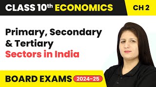 Primary Secondary and Tertiary Sectors in India  Class 10 Economics Chapter 2  CBSE 202425 [upl. by Secor513]