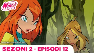 Winx Club Shqip  EPISODI I PLOTË  Uinks Përgjithmonë  Sezoni 2 Episodi 12 [upl. by Pippas]