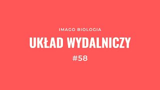 Układ wydalniczy [upl. by Oluas]