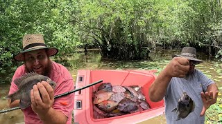 Bream Fishing Tournament  Altamaha River [upl. by Leahcym]