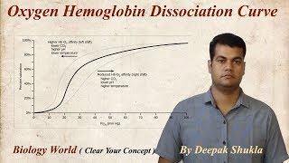 Oxygen Haemoglobin Dissociation Curve  Oxyhaemoglobin Dissociation Curve [upl. by Ahsille744]