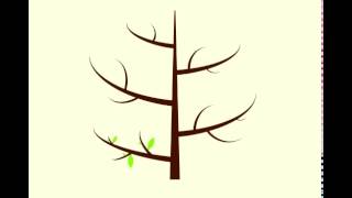 Tree CSS Animation [upl. by Dlonyar24]