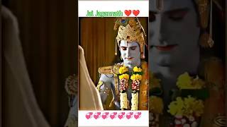 प्रभु की दर्शन मे मिलेगी शांति और मुक्ति ❤️ Jai Jagannath 🙏 shortsfeed reels ytshorts [upl. by Anasxor]