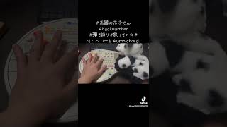 高嶺の花子さんbacknumber弾き語り 歌ってみた オムニコード omnichord [upl. by Schnell]