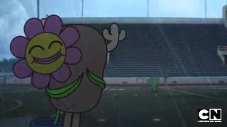 The Amazing World of Gumball  The Flower Preview Clip 1 [upl. by Eak]