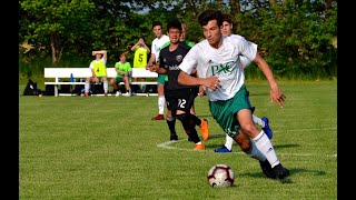 Dallan Schoenberger 2019 Highlight Video [upl. by Marinna]